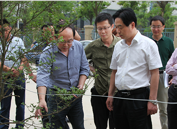 和记H88·(中国集团)app下载 - 怡情博娱官网